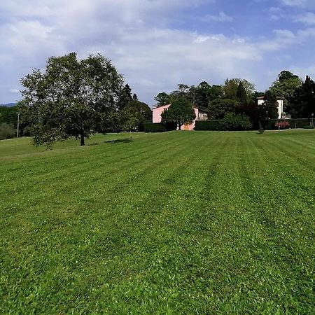 Residenza Le Api Villa Lucca Exteriör bild